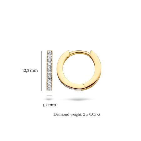 Blush Blush Diamonds Creolen 14k geelgoud met diamant 7612BDI