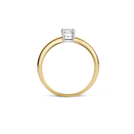 Blush Blush Ring 14k bicolor met zirkonia 1129BZI