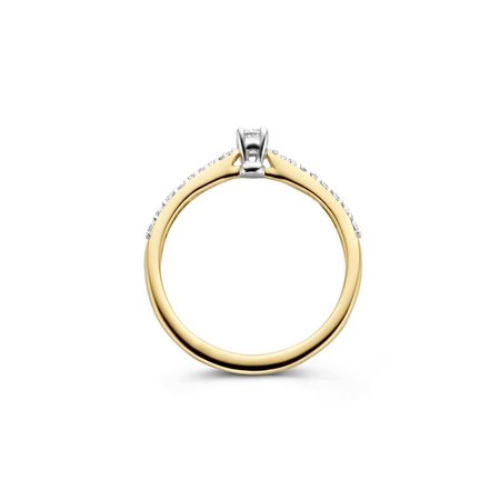 Blush Blush Diamonds Ring 14k Bicolor met diamant 1658BDI