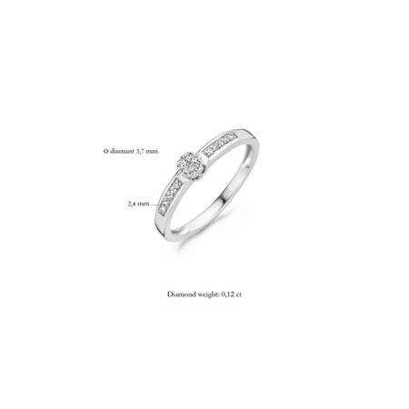 Blush Blush Diamonds Ring 14k witgoud met 0.12 ct diamant 1623WDI