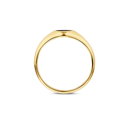 Blush Blush Zegelring 14k geelgoud met Onyx 1219YON