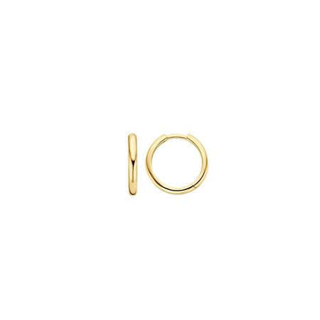 Blush Blush Creolen 14k Geelgoud 2x14mm 7271YGO