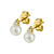 HuisCollectie HuisCollectie Oorstekers 14k geelgoud met zoetwaterparel en diamant 611162