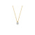 Blush Blush Diamonds Collier 14k bicolor met diamant 3611YDI