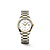 Longines LONGINES Master Lady 29mm automatic L2.257.5.87.7