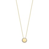 Blush Blush Collier 14k geelgoud met zirkonia 3124YZI