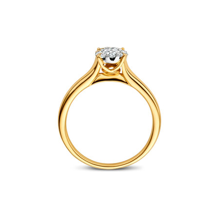 HuisCollectie HuisCollectie Ring 14k Geelgoud met 0.40ct diamant 611112