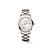 Longines LONGINES Conquest Classic Lady 34mm Quartz L2.386.3.72.7