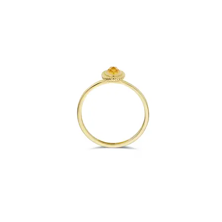 Blush Blush Ring 14k geelgoud met Citrien en Parelmoer 1239YMC