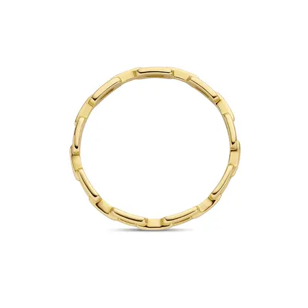 Blush Blush ring 14k geelgoud 1230YGO