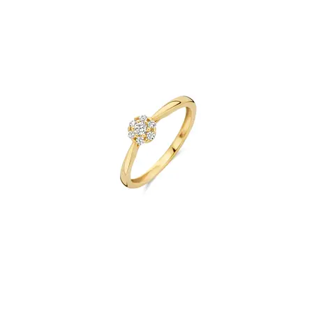 Blush BLUSH Ring 14k geelgoud met zirkonia 1248YZI