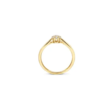 Blush BLUSH Ring 14k geelgoud met zirkonia 1248YZI