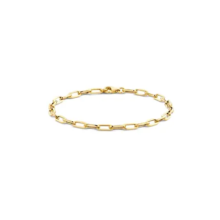 Blush Blush Armband 14k geelgoud 2191YGO