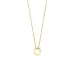 Blush Blush Collier 14k geelgoud met open rondje 3150YGO