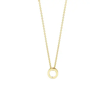Blush Blush Collier 14k geelgoud met open rondje 3150YGO