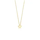 Blush Blush Collier 14k geelgoud met ster 3151YGO