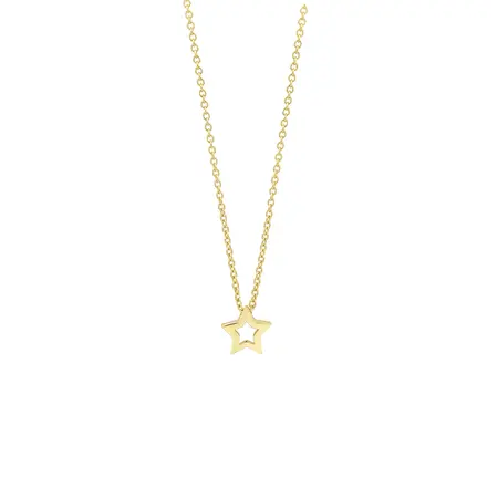 Blush Blush Collier 14k geelgoud met ster 3151YGO