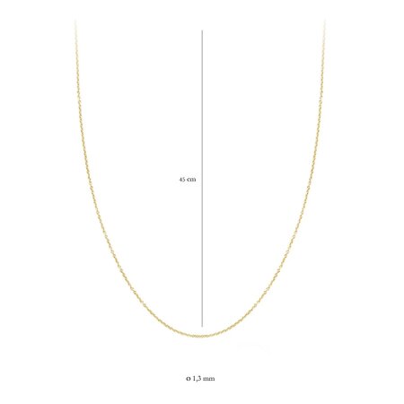 Blush Blush Collier 14k geelgoud 3010YGO