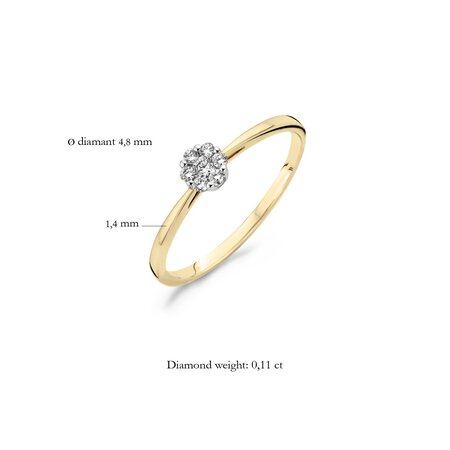 Blush Blush Diamonds Ring 14k Geelgoud met 0.11ct diamant 1610BDI