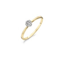 Blush Blush Diamonds Ring 14k Geelgoud met 0.11ct diamant 1610BDI