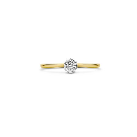 Blush Blush Diamonds Ring 14k Geelgoud met 0.11ct diamant 1610BDI