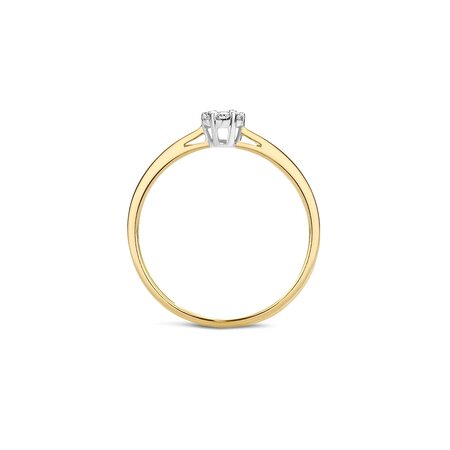 Blush Blush Diamonds Ring 14k bicolor met diamant 1610BDI
