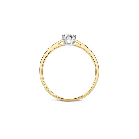 Blush Blush Diamonds Ring 14k Geelgoud met 0.11ct diamant 1610BDI