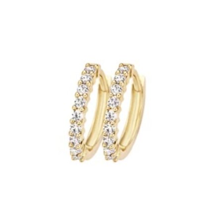 Blush Blush Creolen 14k geelgoud met zirkonia 7166YZI