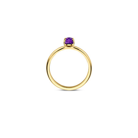 Blush Blush Ring 14k geelgoud met Amethist 1242YAM