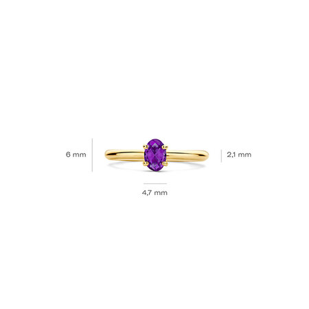 Blush Blush Ring 14k geelgoud met Amethist 1242YAM