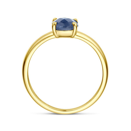 Mrs.Janssen Mrs. Janssen Ring 14k geelgoud met blauwe Saffier 612942