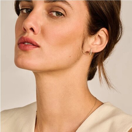 Blush Blush Creolen 14k geelgoud met zirkonia 7307YZI