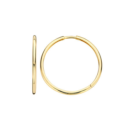 Blush Blush Creolen 14k geelgoud 7312YGO