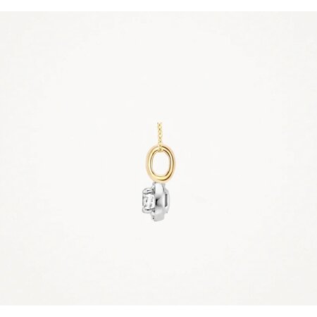 Blush Blush Hanger 14k bicolor met zirkonia 6064BZI