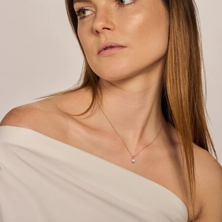 Blush Blush Hanger 14k bicolor met zirkonia 6064BZI