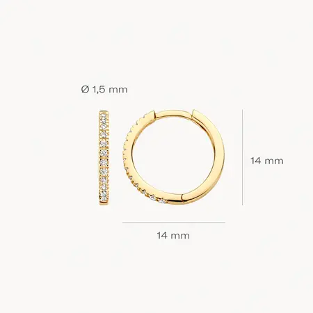 Blush Blush Creolen 14k geelgoud met Zirkonia 7309YZI