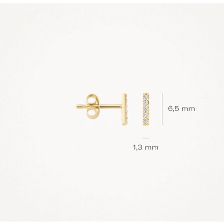 Blush Blush Oorstekers 14k geelgoud met Zirkonia 7196YZI