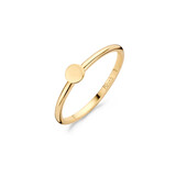 Blush Blush Ring 14k geelgoud 1212YGO