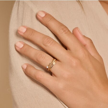 Blush Blush Ring 14k geelgoud met zirkonia 1216YZI