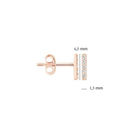 Blush Blush Oorstekers 14k roségoud met zirkonia 7196RZI