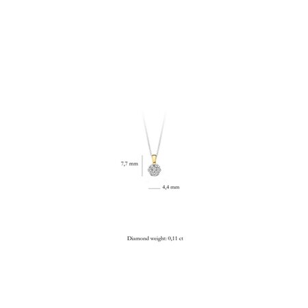 Blush Blush Diamonds Hanger 14k bicolor met diamant 6604BDI