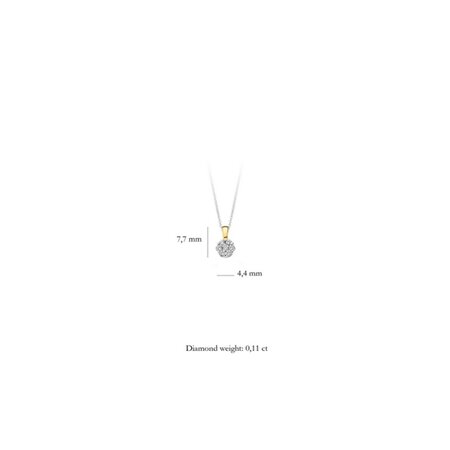 Blush Blush Hanger 14k bicolor met diamant 6604BDI