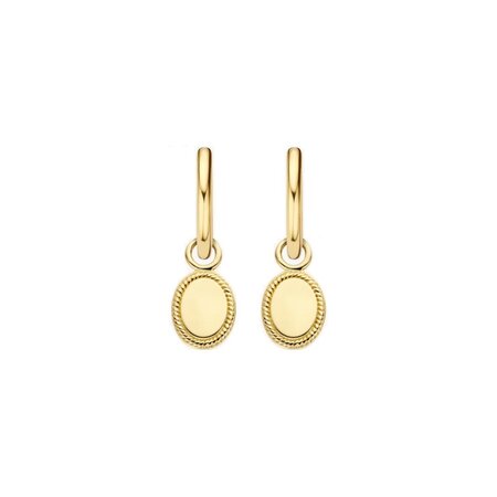 Blush Blush Creoolhangers 14k geelgoud 9069YGO