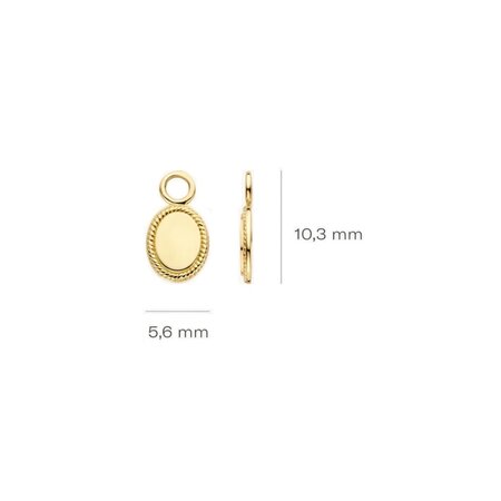 Blush Blush Creoolhangers 14k geelgoud 9069YGO