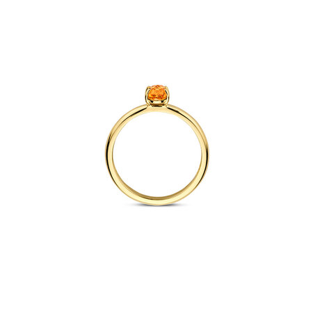 Blush Blush Ring 14k geelgoud met Citrien 1242YCI