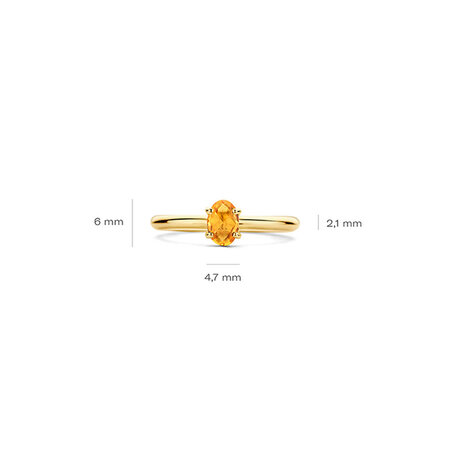 Blush Blush Ring 14k geelgoud met Citrien 1242YCI
