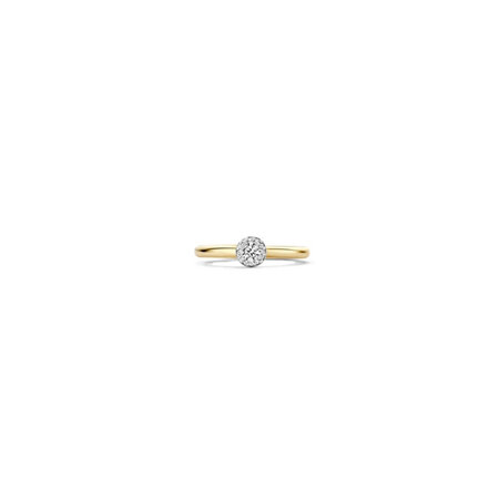 Blush Blush Ring 14k bicolor met zirkonia 1131BZI