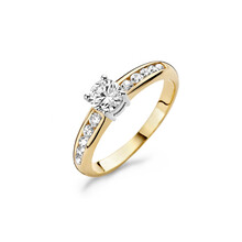 Blush Blush Ring 14k bicolor met zirkonia 1154BZI