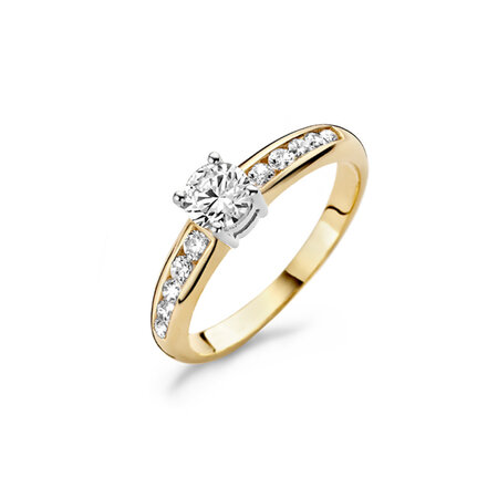Blush Blush Ring 14k bicolor met zirkonia 1154BZI