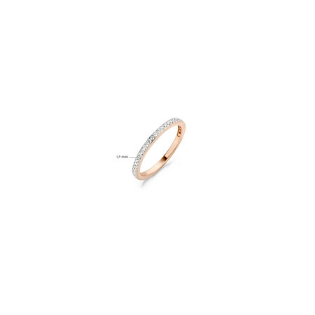 Blush Blush Ring 14k bicolor met zirkonia 1119RZI